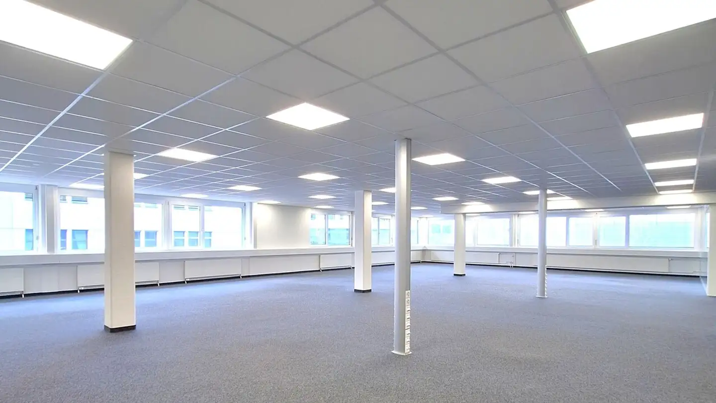Mischgenutztes Gebäude kaufen - Nenzlingerweg 2, 4153 Reinach BL - Foto 4