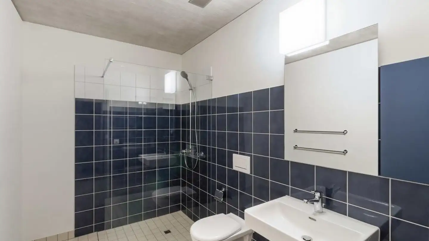 Loft in affitto - Am Stadtrand 1, 8600 Dübendorf - Foto 3