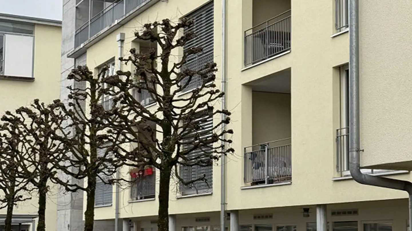 Apartment for sale - Unterer Chämletenweg, 6333 Hünenberg See