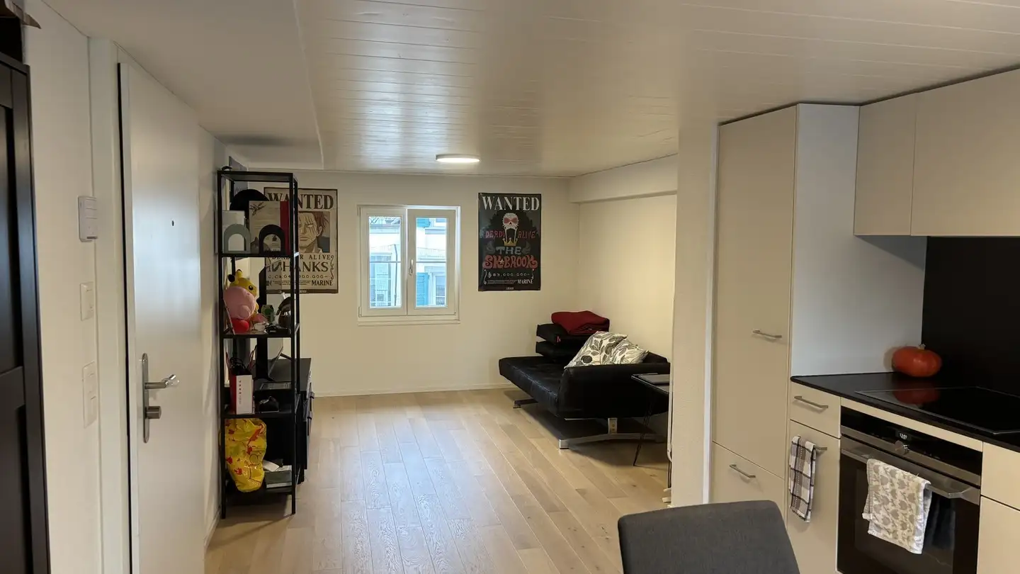 Appartamento in affitto - 8820 Wädenswil