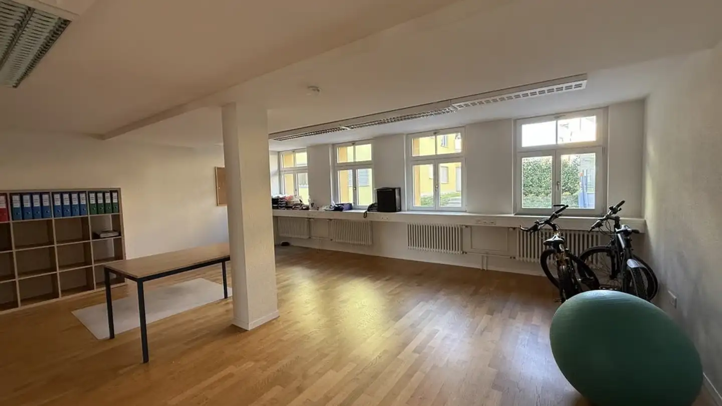 Gewerbe mieten - Obere Zelgstrasse 2, 8590 Romanshorn - Foto 3