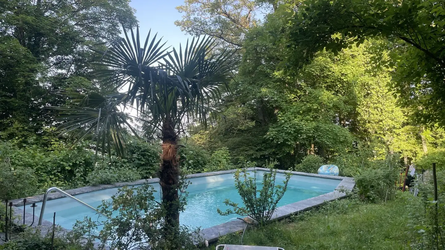 Appartamento in affitto - Sonnenbühl 1, 8143 Uetliberg - Foto 2