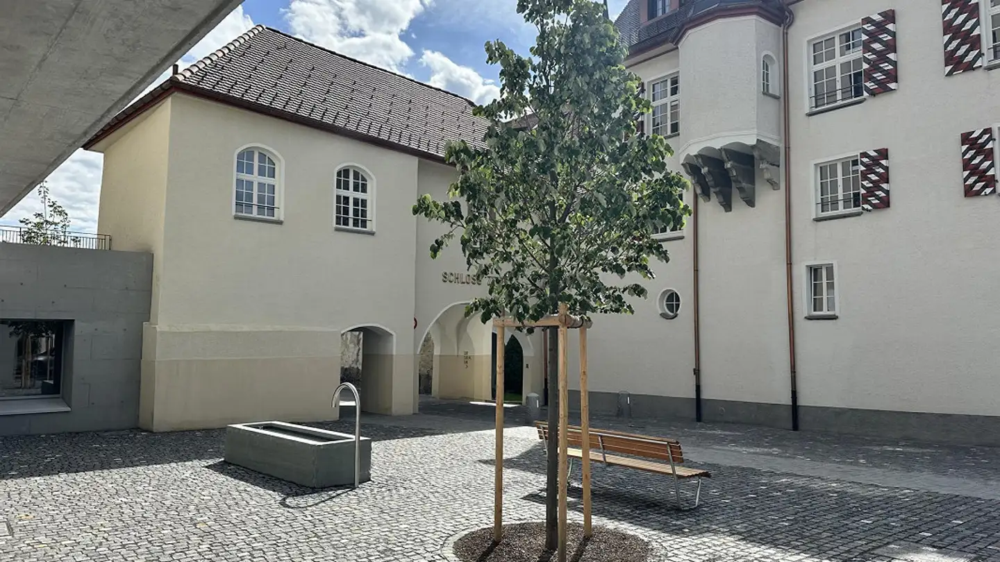 Appartamento in vendita - Vialstrasse, 7205 Zizers - Photo 2