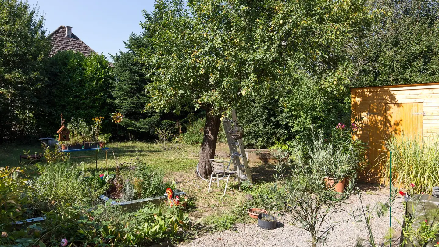 Appartamento in affitto - Alberich Zwyssigstrasse, 5430 Wettingen