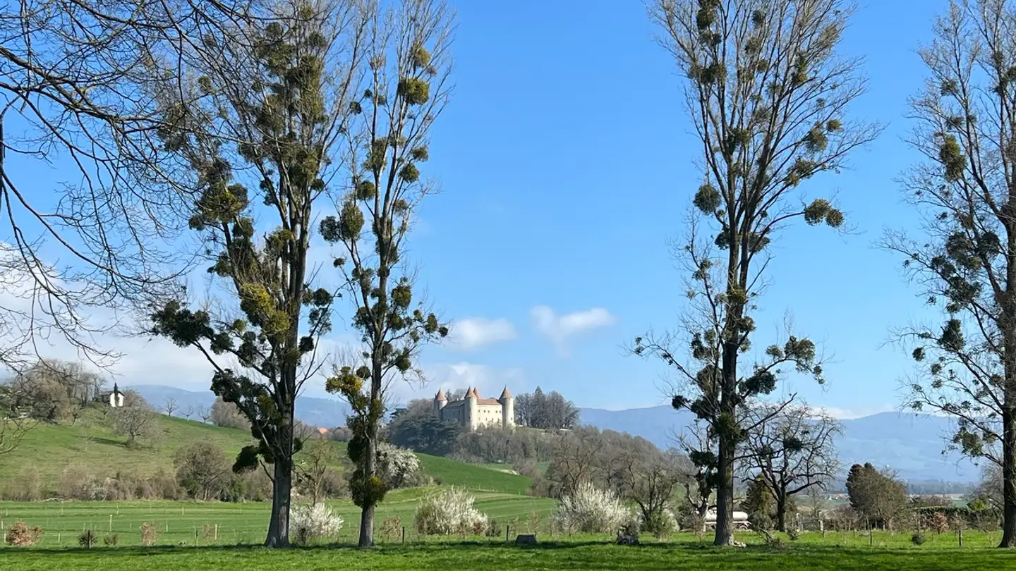 Duplex in vendita - 1438 Mathod - Foto 4