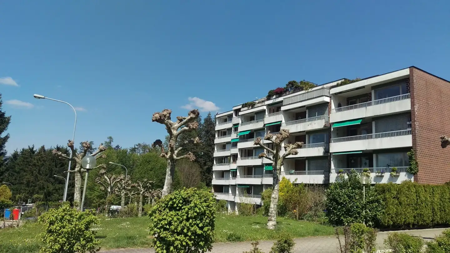 Wohnung kaufen - Tiefenhofstrasse 15, 8820 Wädenswil