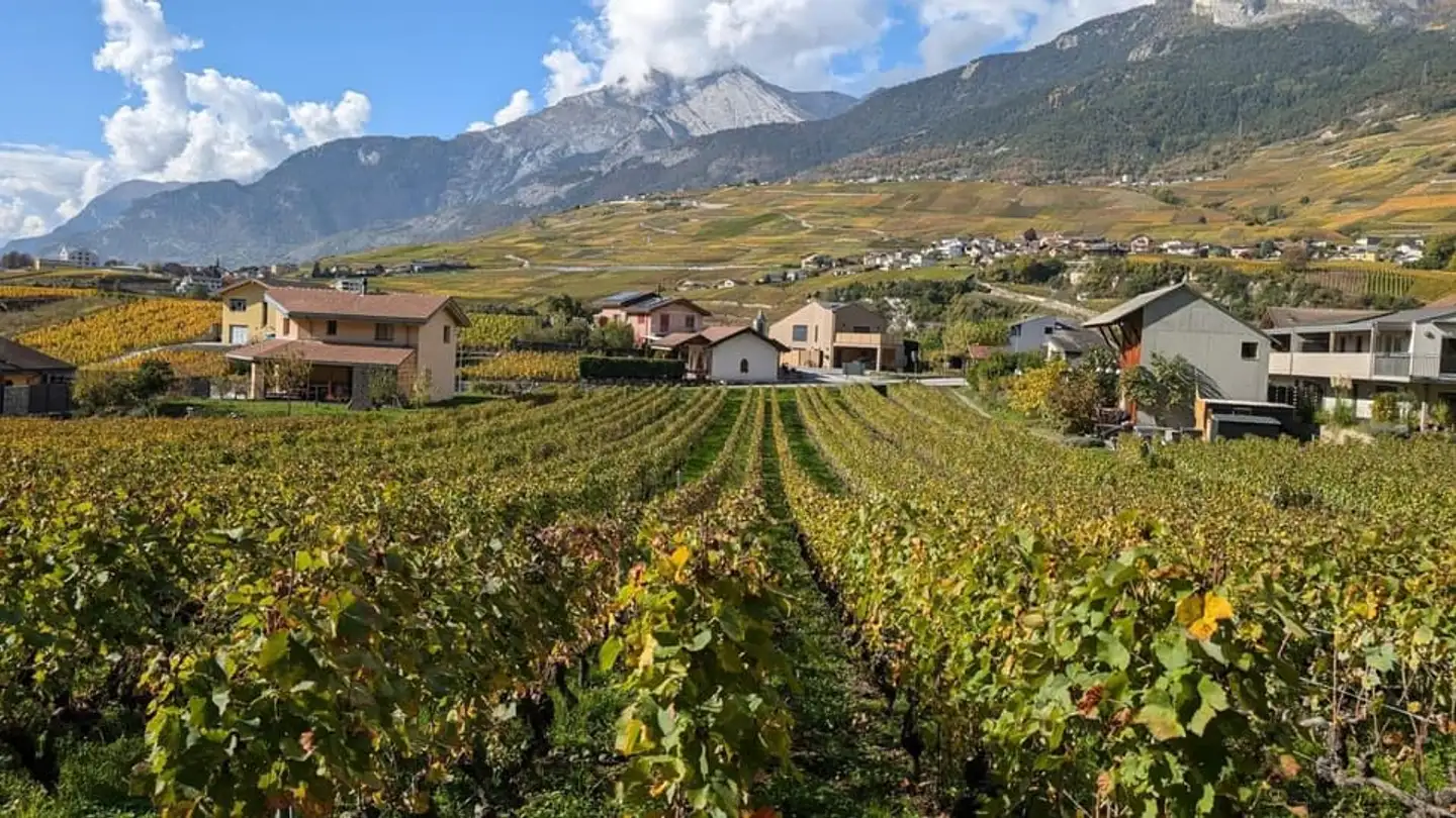 Apartment for sale - 1964 Conthey - Photo 3