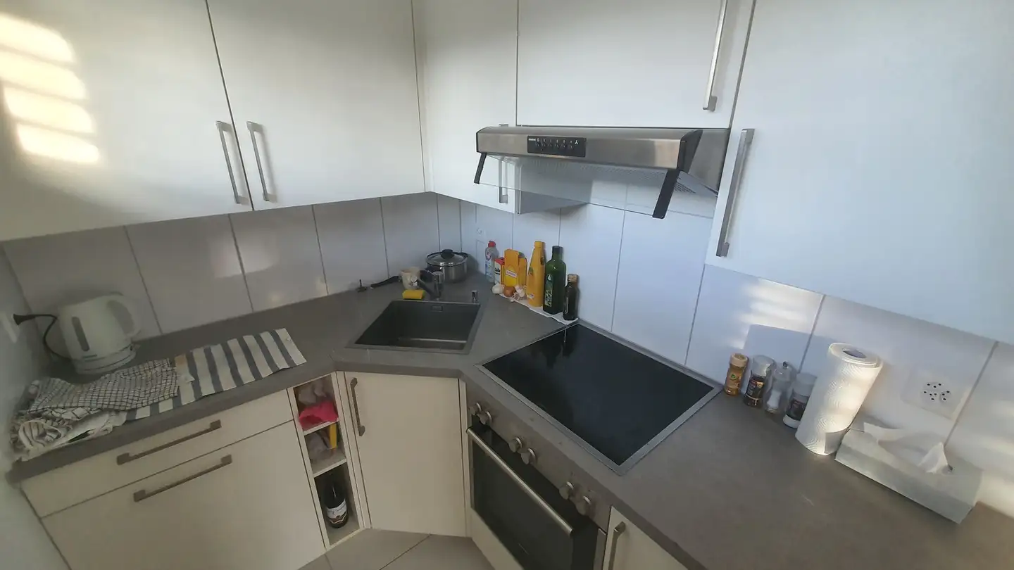 Wohnung mieten - 8050 Zürich - Foto 3