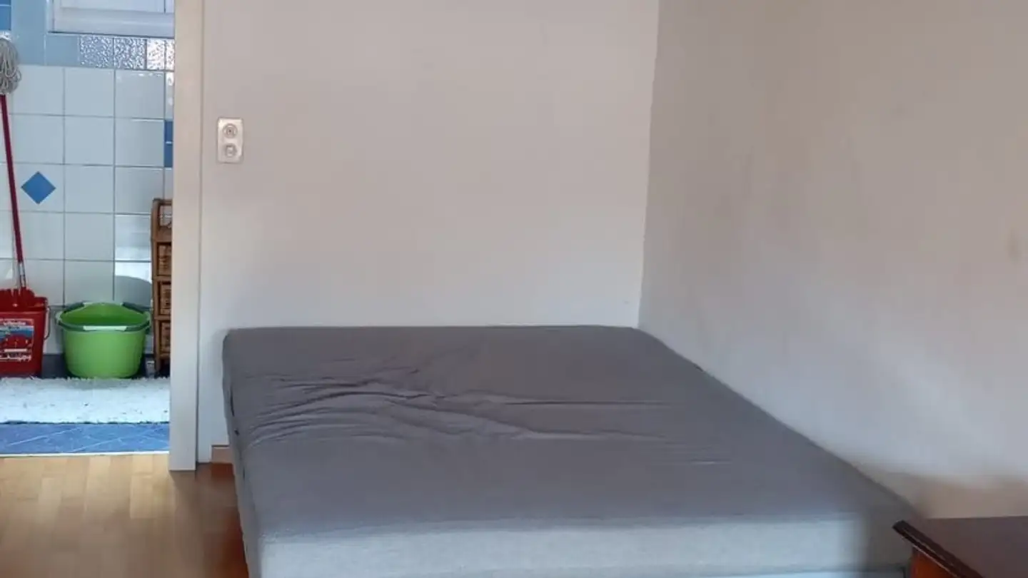 Loft in affitto - Via Cantine Di Mezzo, 6815 Melide - Foto 4