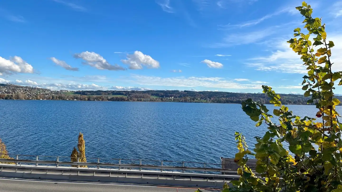 Appartement à louer - Gaichtstrasse 1, 2512 Tüscherz-Alfermée - Photo 2