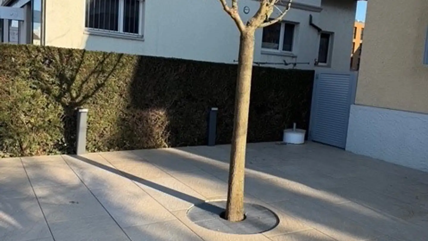 Commercial à louer - Schlossstrasse 15, 4133 Pratteln - Photo 4