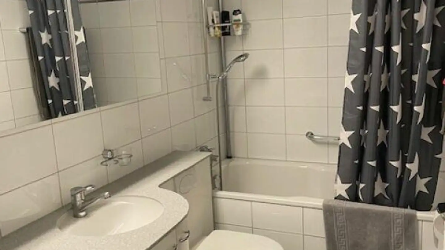 Apartment for rent - Mülibachstrasse 28, 8805 Richterswil - Photo 3