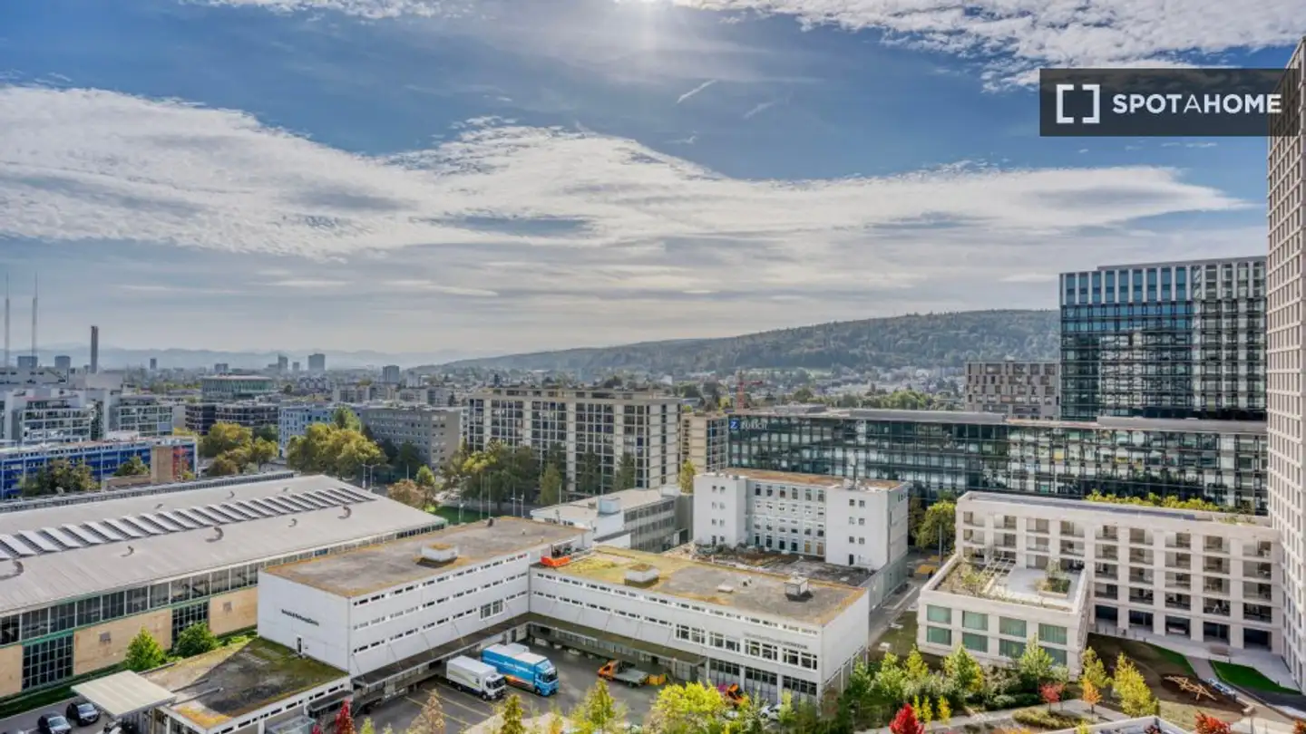 Apartment for rent - 8050 Zürich - Photo 3