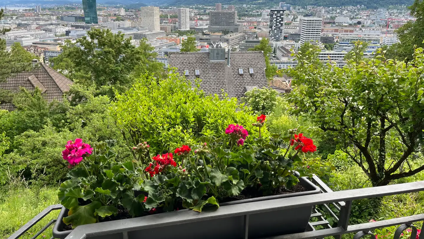 Zimmer mieten - Rebbergstrasse 45, 8049 Zürich - Foto 4