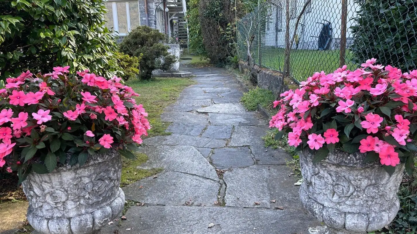 Appartement à louer - 6616 Losone - Photo 4