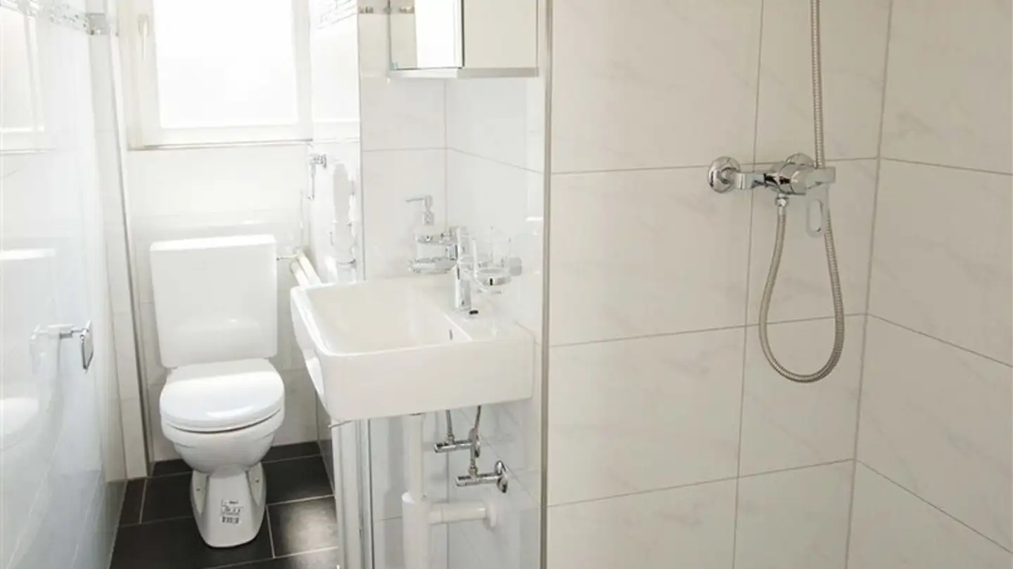Wohnung mieten - Hegenheimerstrasse 240, 4055 Basel - Foto 2