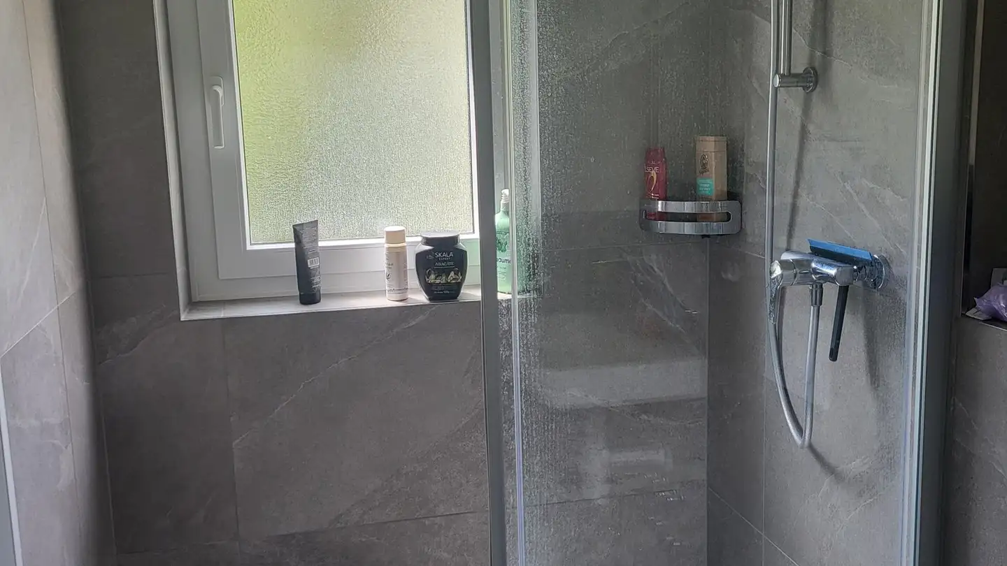 Apartment for rent - Rue Du Général-Dufour / General-Dufour-Strasse 91, 2502 Biel/Bienne - Photo 2