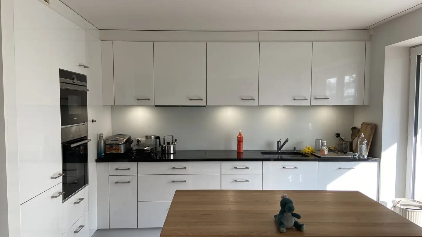 Appartamento in affitto - Undermülistrasse, 8320 Fehraltorf - Foto 2