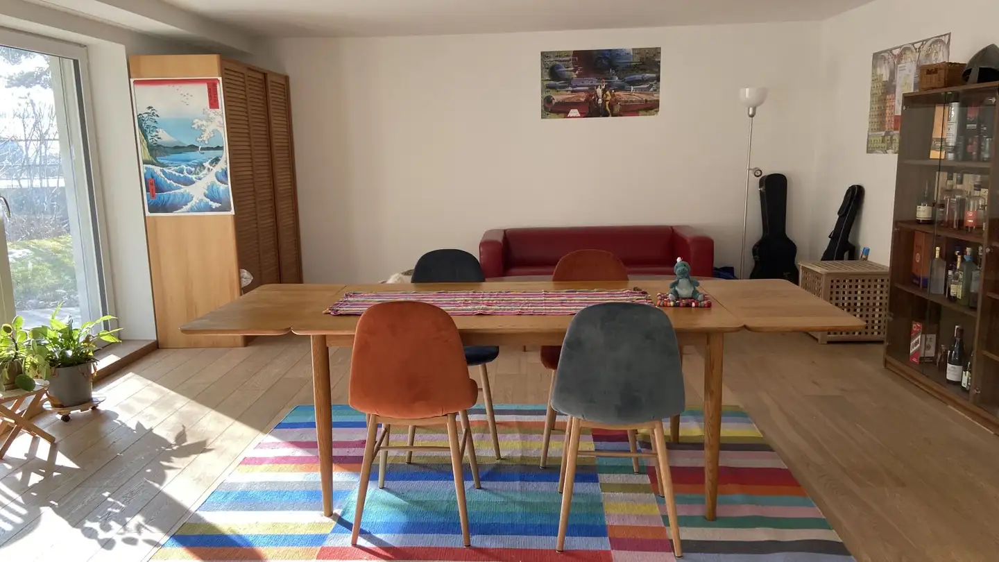 Appartamento in affitto - Undermülistrasse, 8320 Fehraltorf - Foto 3