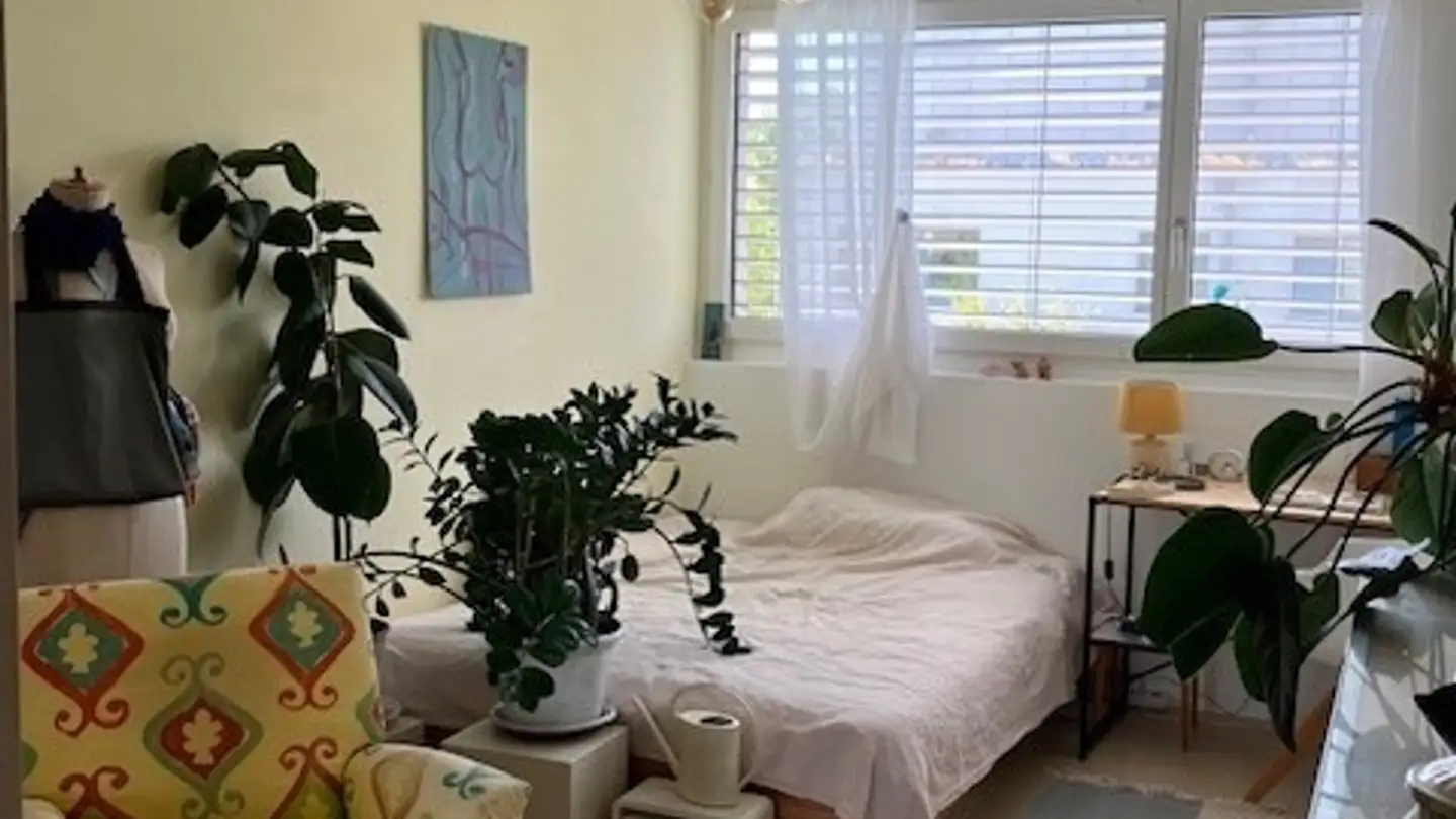 Chambre à louer - 8708 Männedorf