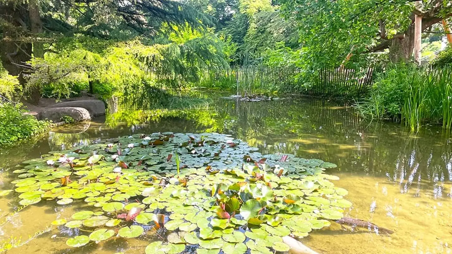 Appartamento in vendita - 1400 Cheseaux-Noréaz