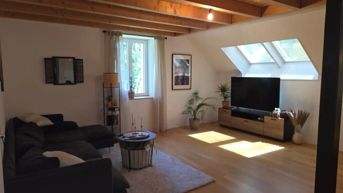 Appartamento ammobiliato in affitto - Fabrikstrasse 18, 4500 Solothurn