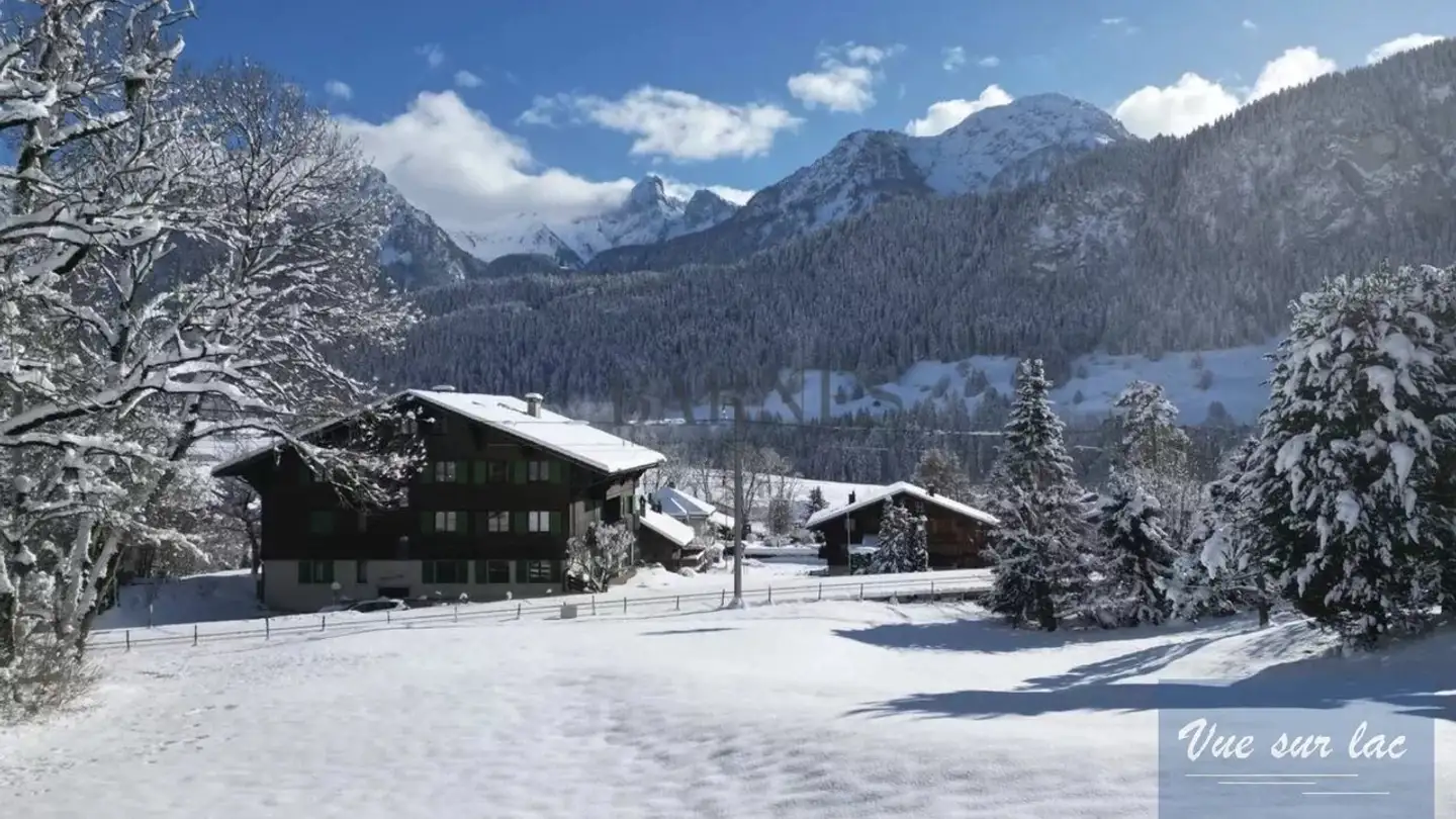 Wohnung kaufen - 1660 Château-d'Oex