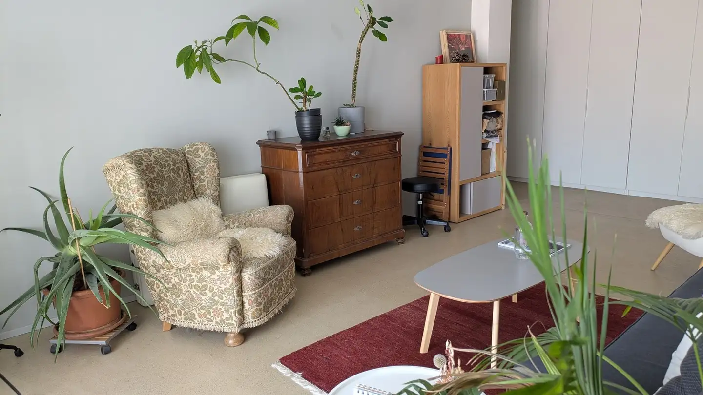 Single room for rent - 8400 Winterthur - Photo 4