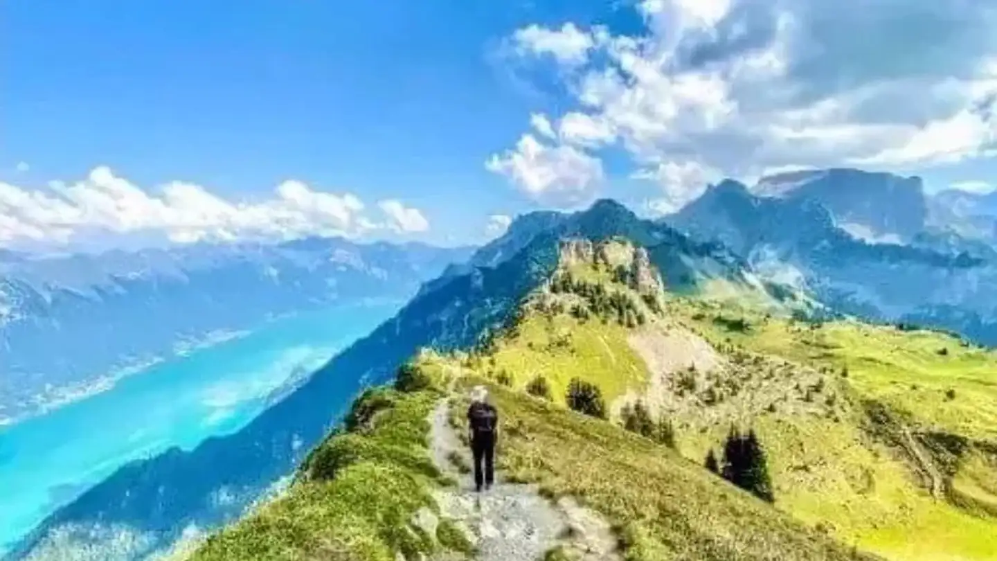 Apartment for sale - 1660 Château-d'Oex - Photo 2