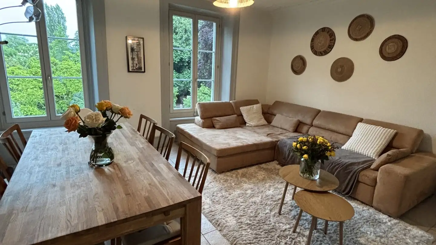 Appartamento in affitto - Faubourg Du Lac / Seevorstadt 29, 2502 Biel/Bienne