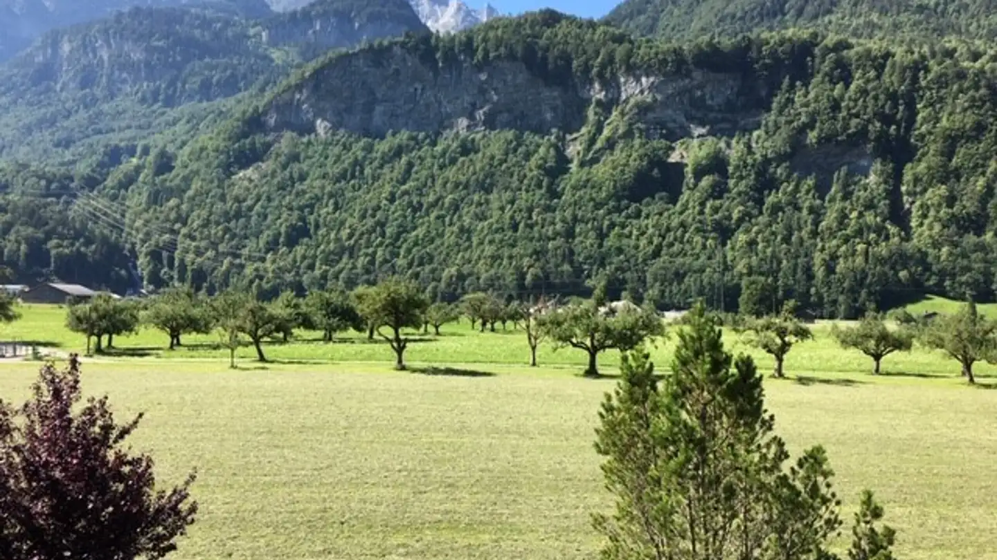 Wohnung mieten - Allmendstrasse 91, 3860 Meiringen