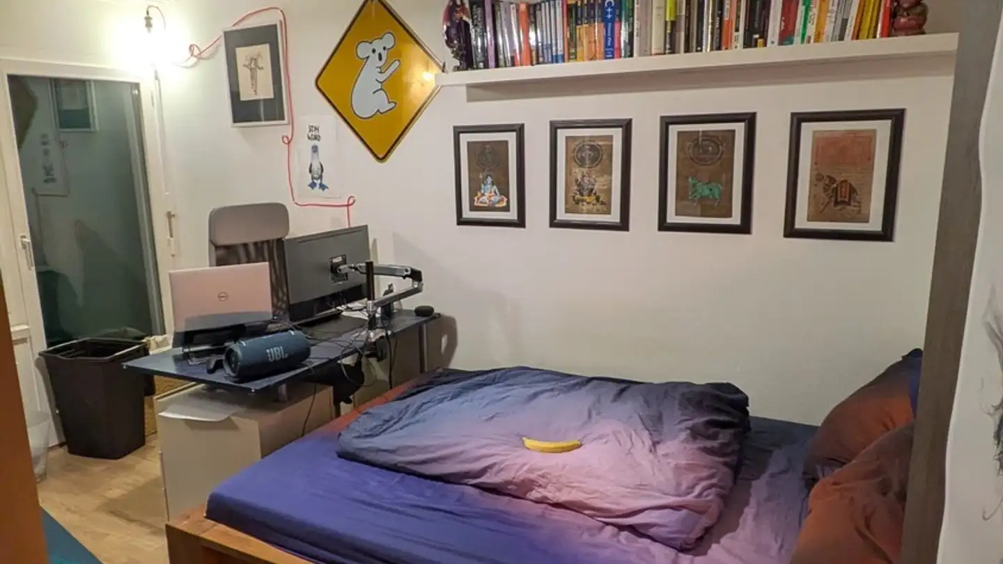 Single room for rent - Schauenbergstrasse 12, 8046 Zürich