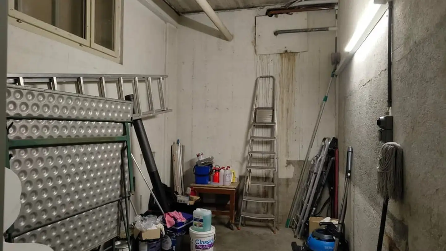 Commerciale in affitto - Chemin Praz-Roussy 2, 1032 Romanel-sur-Lausanne - Photo 3