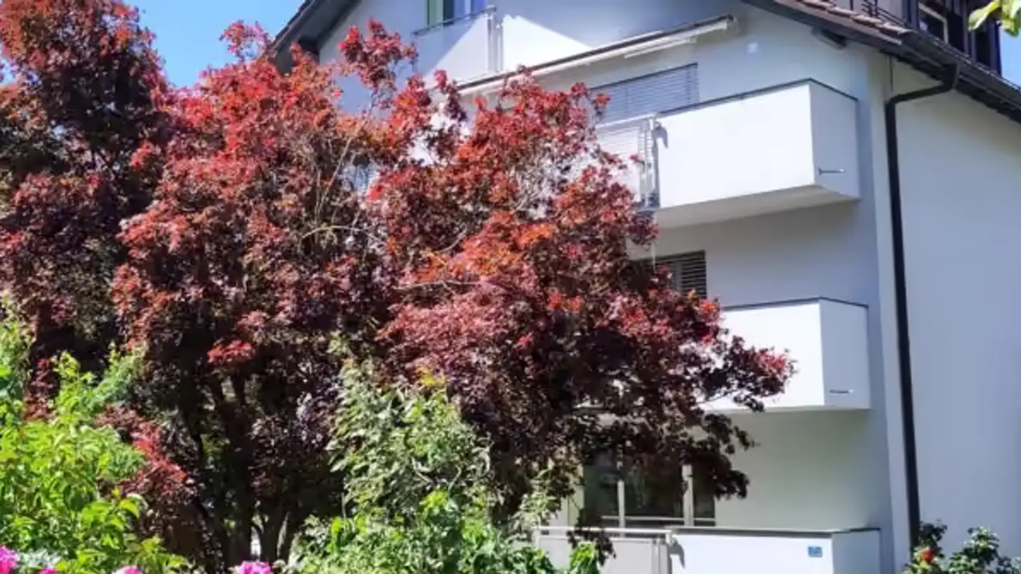 Appartement à louer - 1700 Fribourg