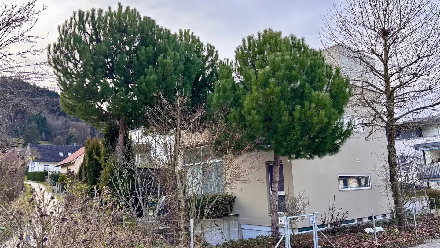 Single house for rent - Grütstrasse 30, 8957 Spreitenbach - Photo 3