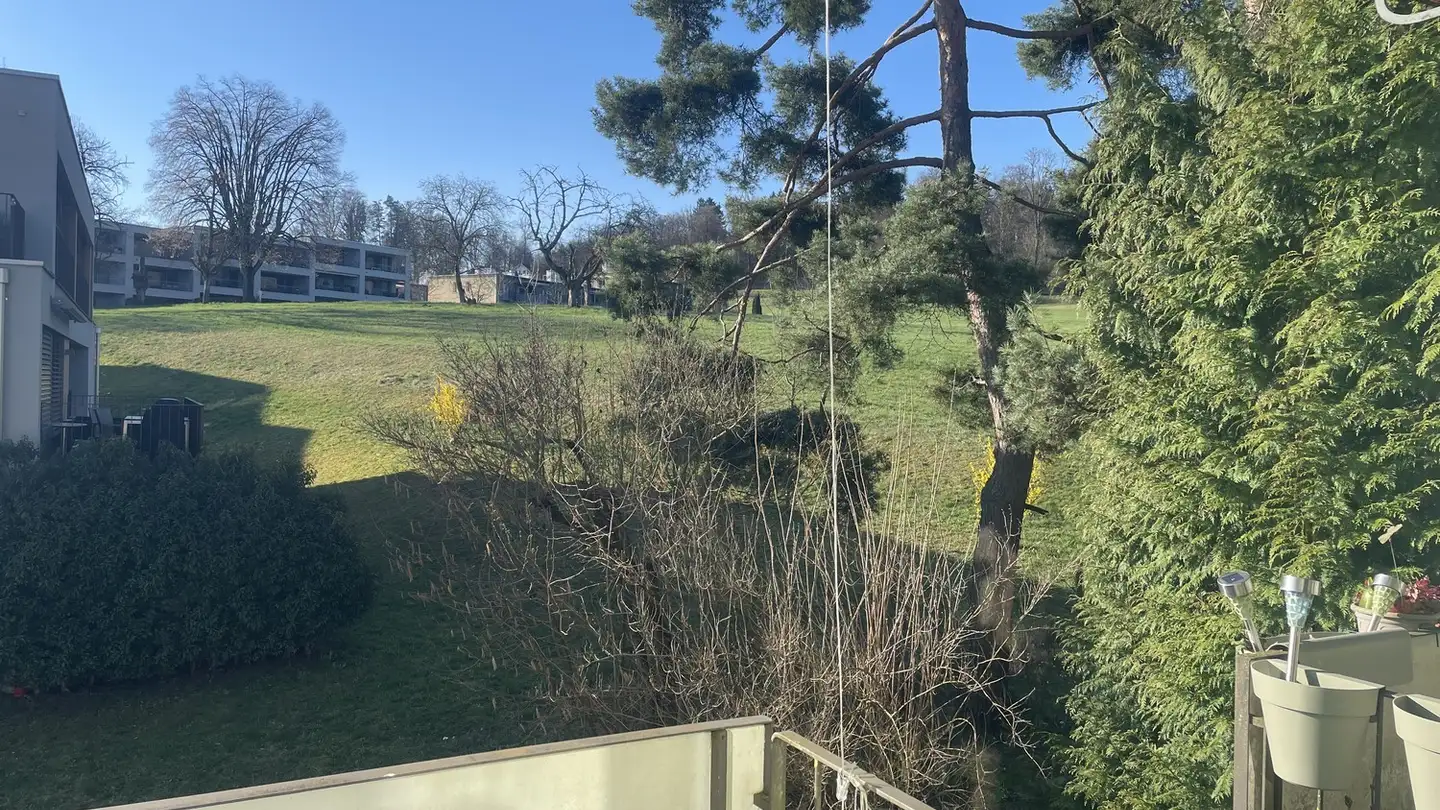 Stanza singola in affitto - Hungerbergstrasse 35, 8046 Zürich - Foto 4