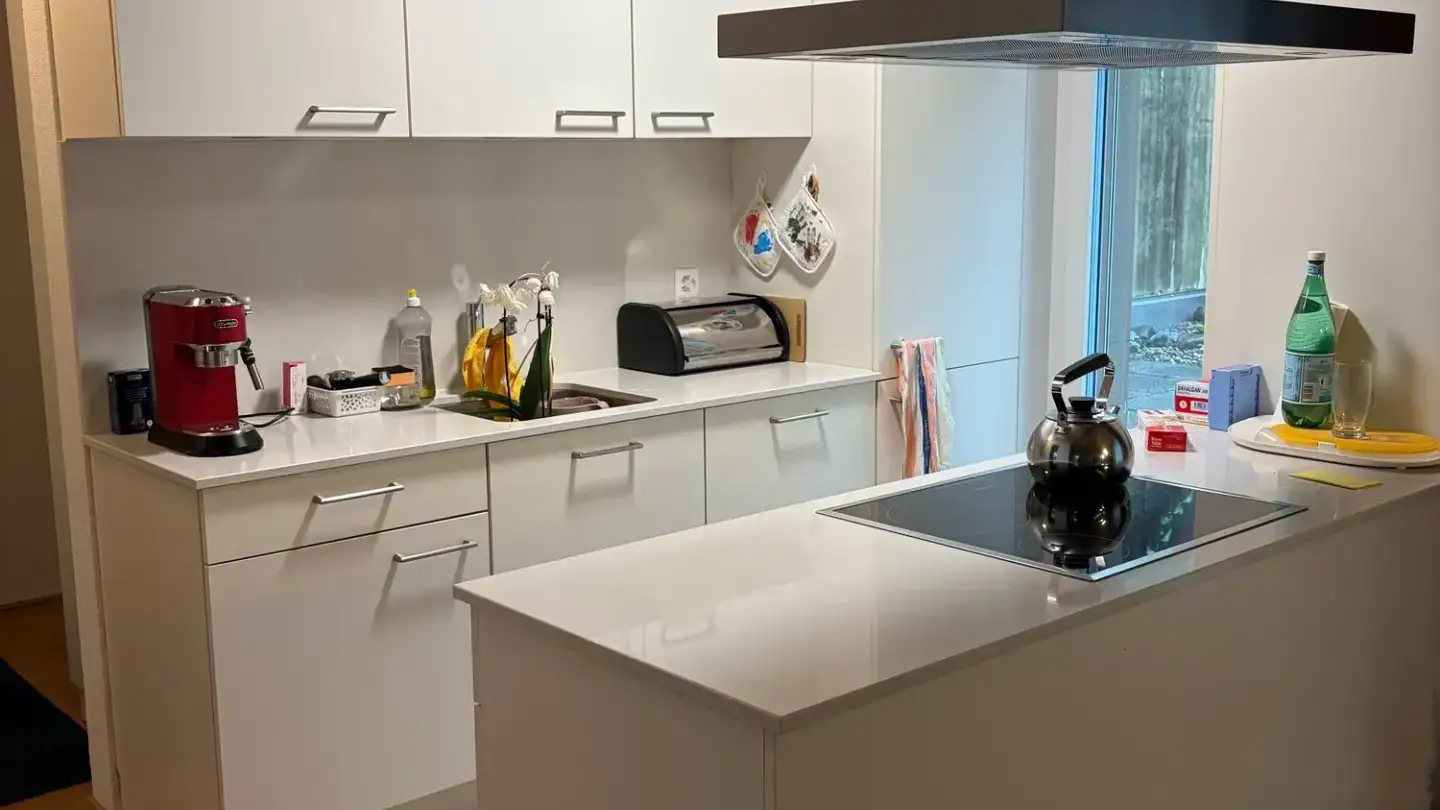 Appartement à louer - Langweidstrasse 4, 8624 Grüt (Gossau ZH) - Photo 4