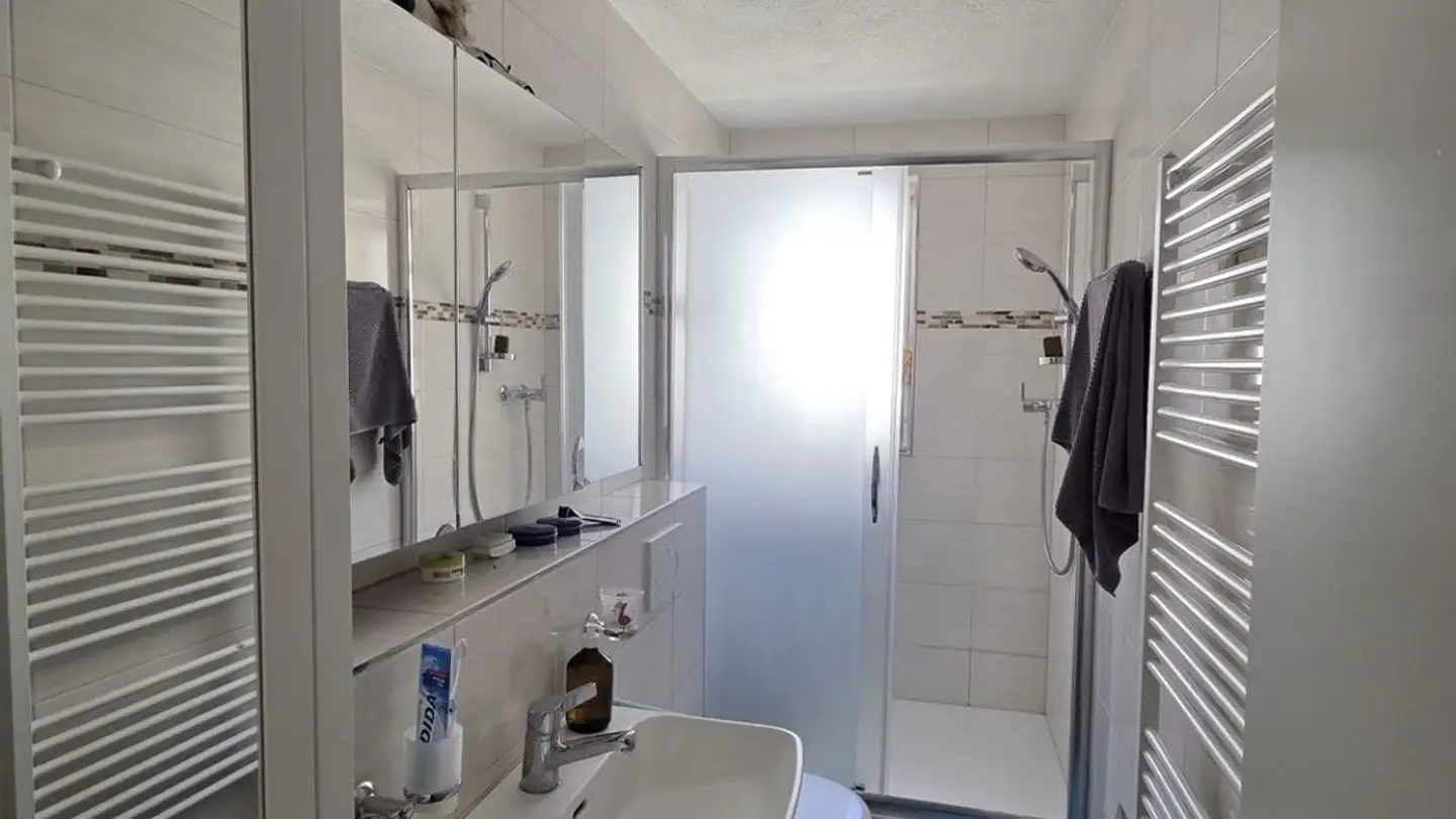 Single room for rent - Laboratoriumstrasse 8, 8400 Winterthur - Photo 3