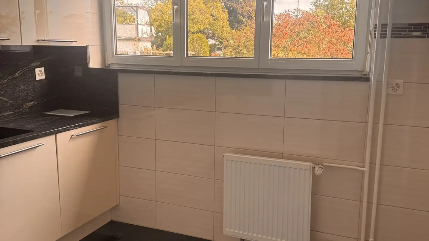 Single house for rent - 4142 Münchenstein - Photo 4