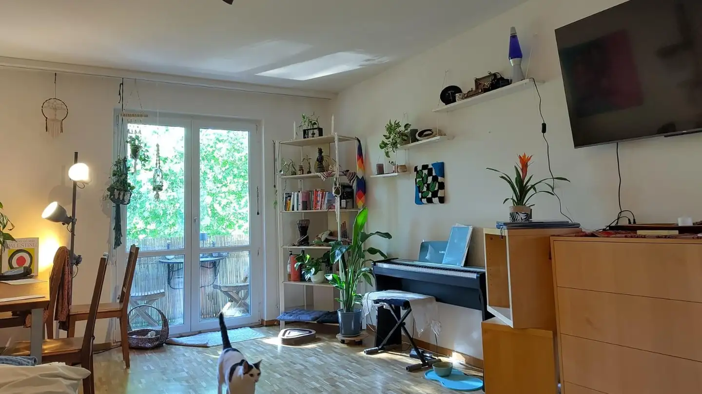Zimmer mieten - 8004 Zürich