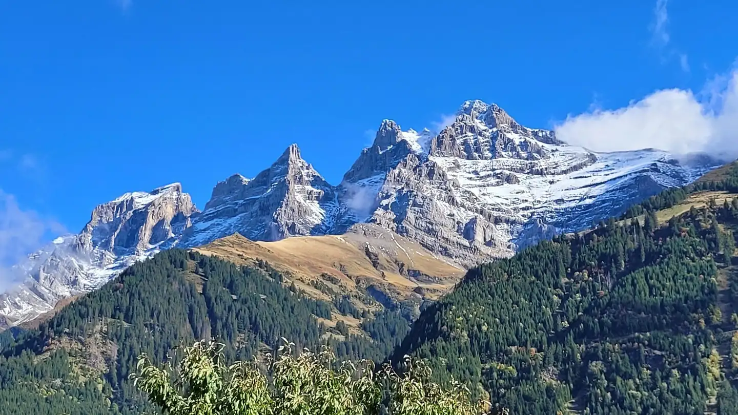 Appartement à louer - 1874 Champéry - Photo 2
