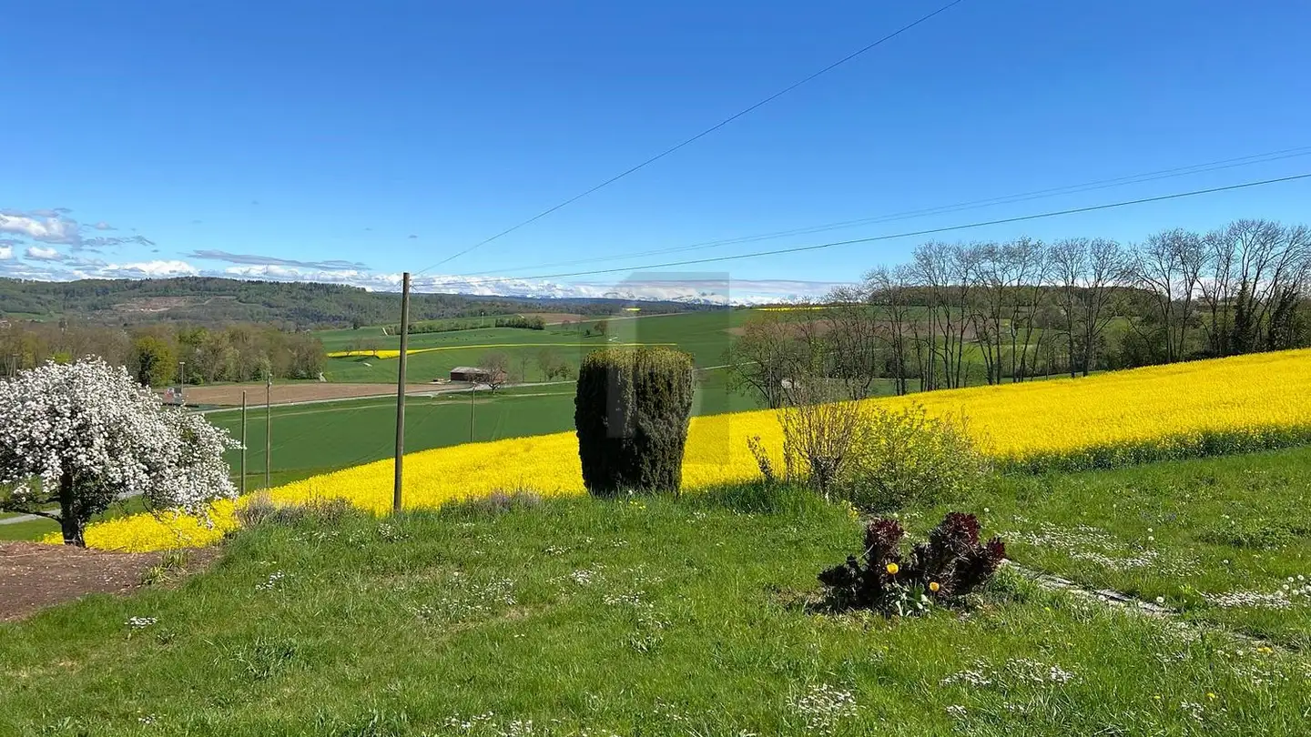 Maison individuelle à louer - 1315 La Sarraz - Photo 2