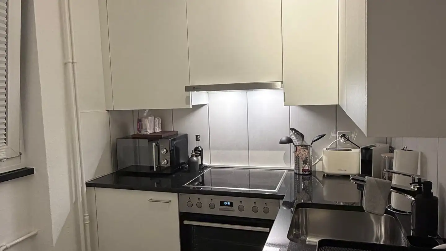 Appartement à louer - Sprünglistrasse, 3006 Bern - Photo 3