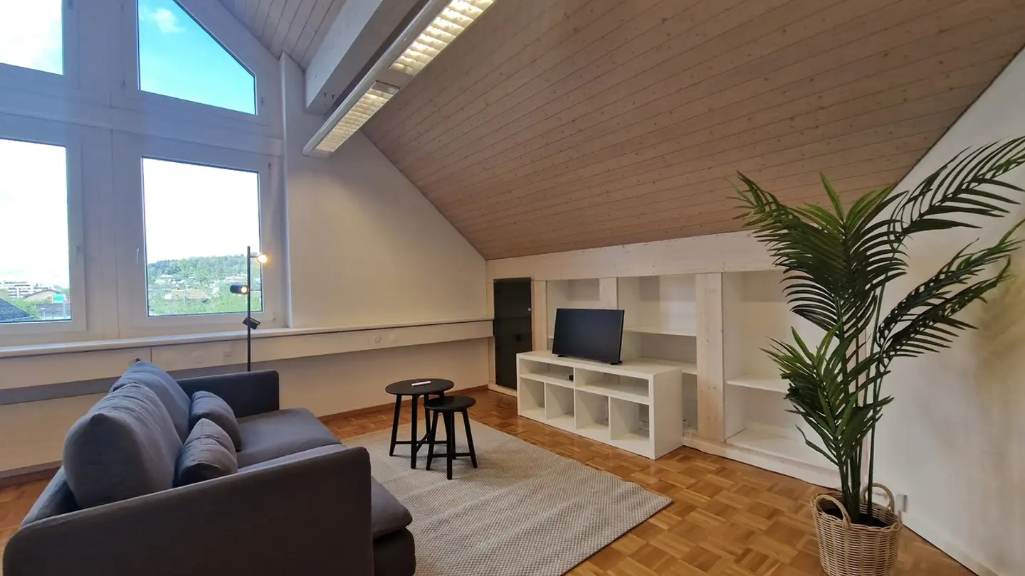 Appartamento in affitto - Bahnhofstrasse, 8965 Berikon - Foto 4