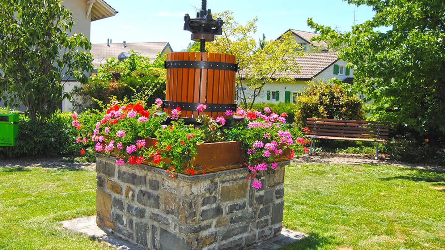 Villa kaufen - 1807 Blonay