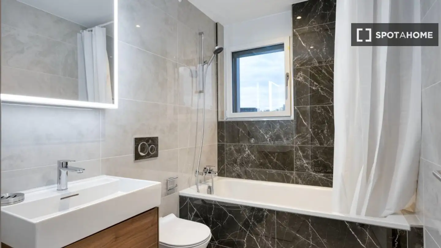 Studio à louer - 8055 Zürich - Photo 2