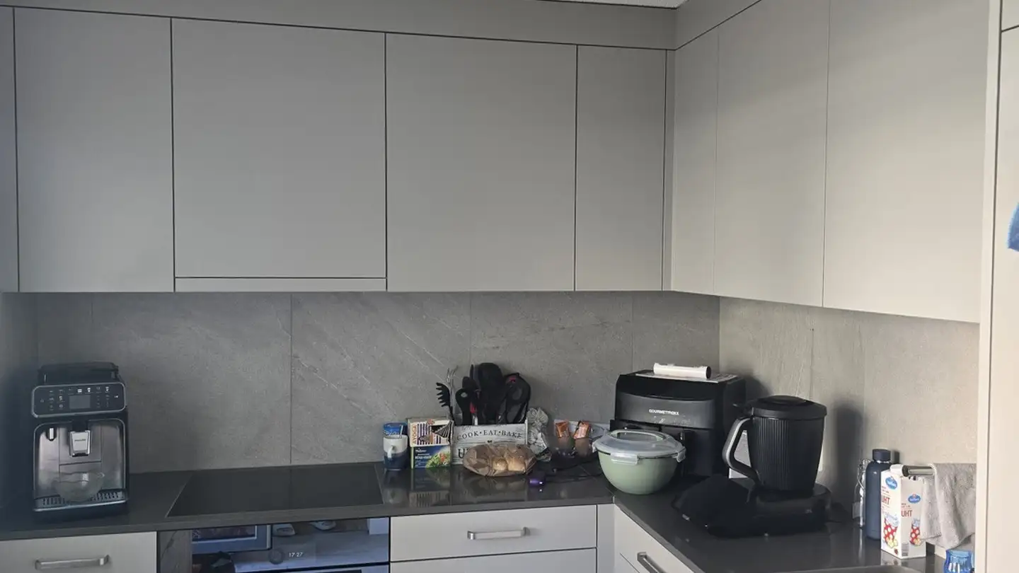Appartamento in affitto - Endlikerstrasse 69, 8400 Winterthur - Foto 3