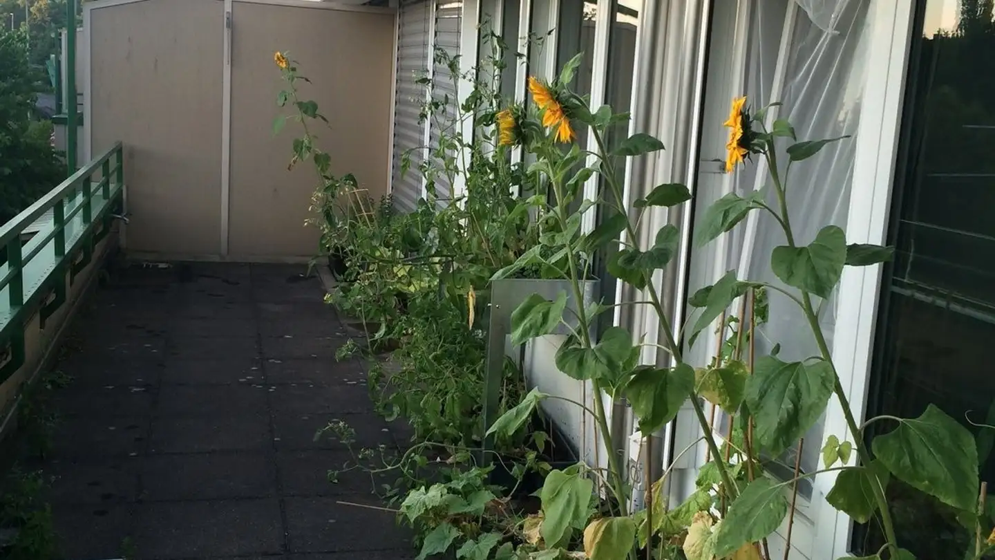 Duplex in affitto - Baslerstrasse 15, 4102 Binningen - Photo 2