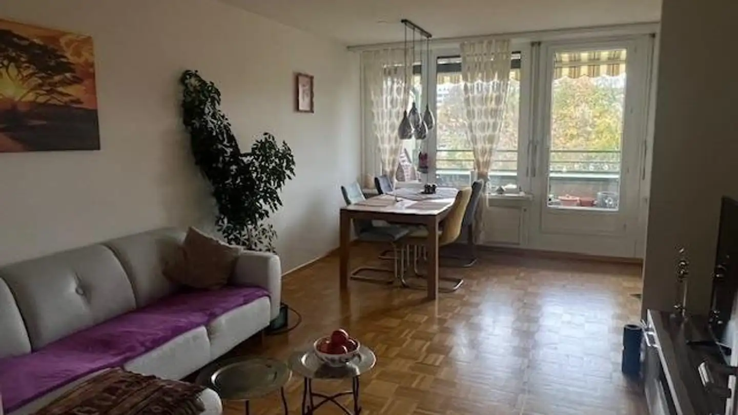 Duplex in affitto - Baslerstrasse 15, 4102 Binningen - Photo 4