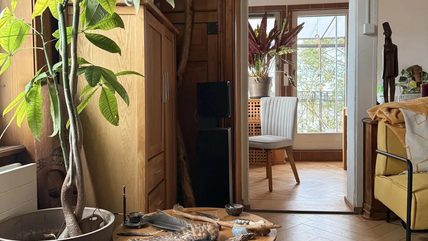 Chambre à louer - Tannholzstrasse 26, 8910 Affoltern am Albis - Photo 3